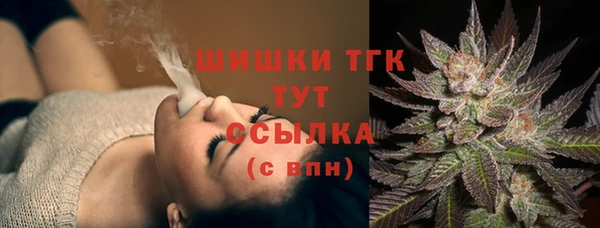 шишки Гусиноозёрск