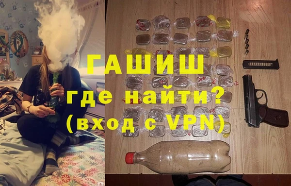 шишки Гусиноозёрск