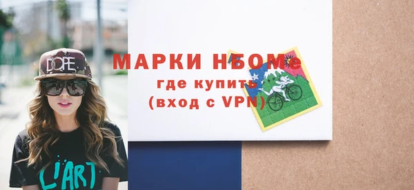 шишки Гусиноозёрск