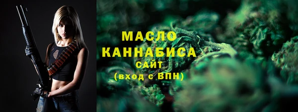 шишки Гусиноозёрск