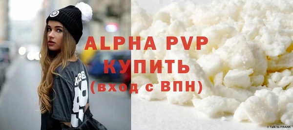 шишки Гусиноозёрск