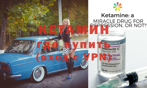 шишки Гусиноозёрск