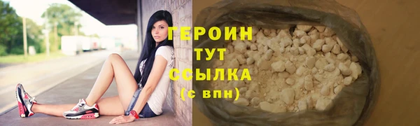 шишки Гусиноозёрск