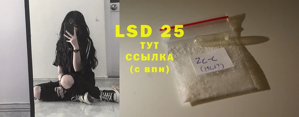 шишки Гусиноозёрск