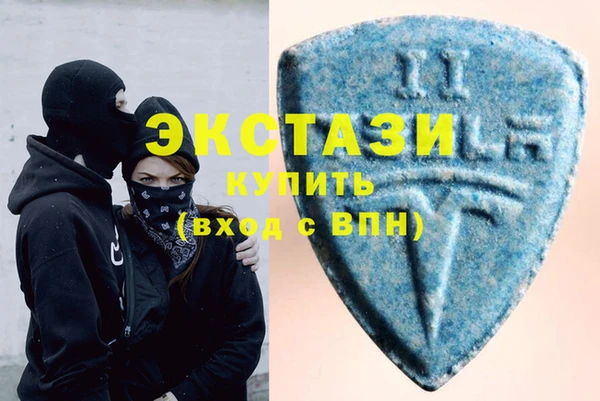 шишки Гусиноозёрск