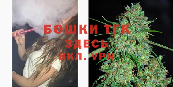 спайс Гусев