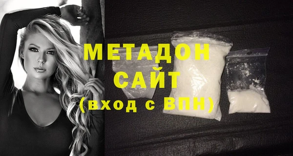 шишки Гусиноозёрск