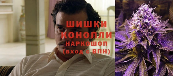 спайс Гусев
