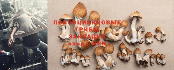 шишки Гусиноозёрск