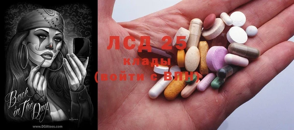 шишки Гусиноозёрск