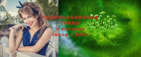 спайс Гусев